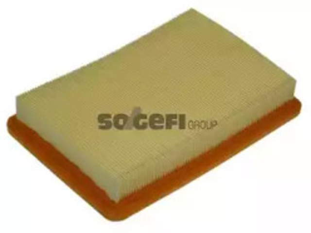 Filtr powietrza A1174 PURFLUX