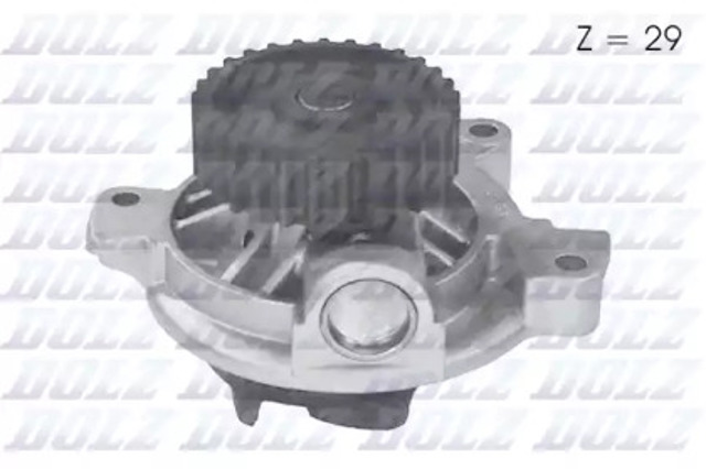 A171 Dolz