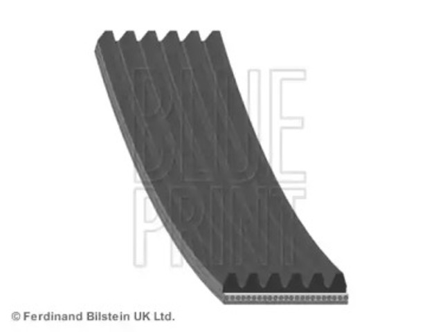AD06R2195 Blue Print