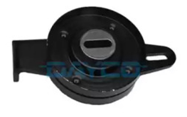 APV2021 Dayco