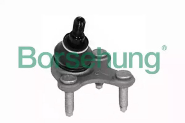 B11342 Borsehung