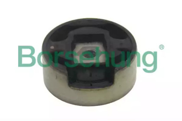 B11354 Borsehung
