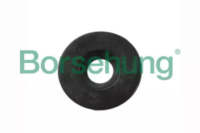 B11365 Borsehung