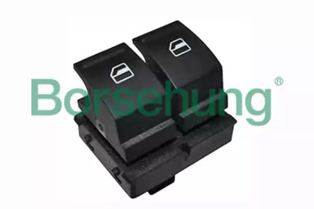 B11413 Borsehung