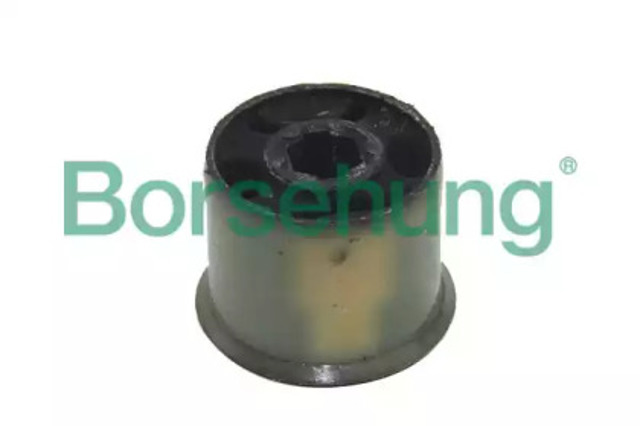 B12230 Borsehung