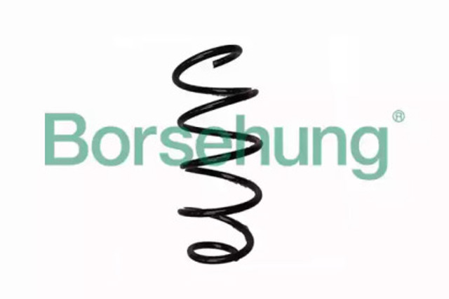 Sprężyna przednia B12561 BORSEHUNG