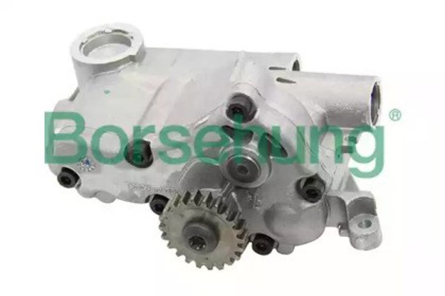 B12698 Borsehung