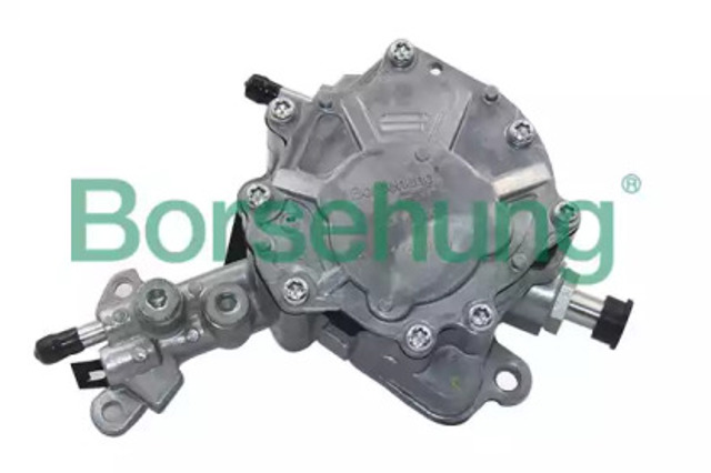 B14919 Borsehung