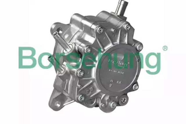 B17906 Borsehung