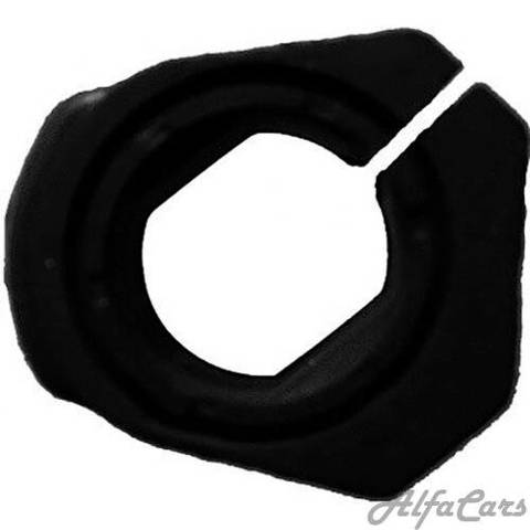 BC06261 Bcguma