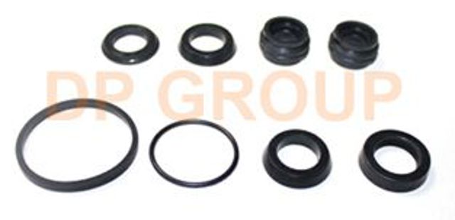 BS2123 DP Group