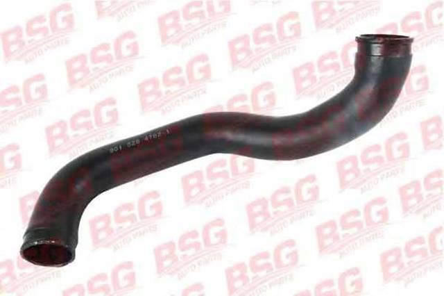 BSG60720009 BSG