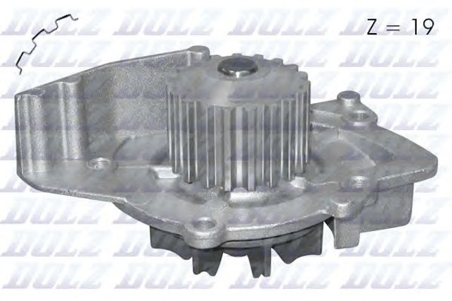 C127 Dolz