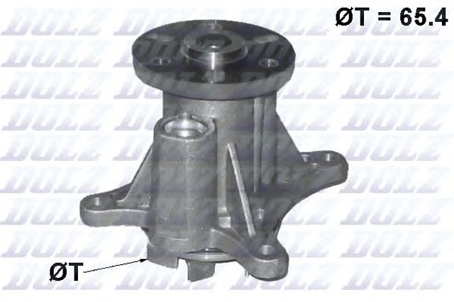 C137 Dolz