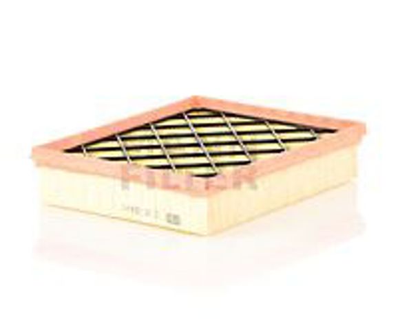 C250081 Mann-Filter