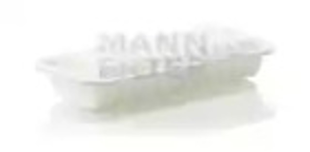 C2513 Mann-Filter