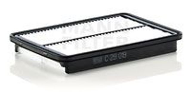 C29019 Mann-Filter