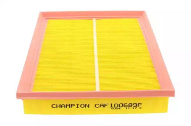 CAF100689P Champion