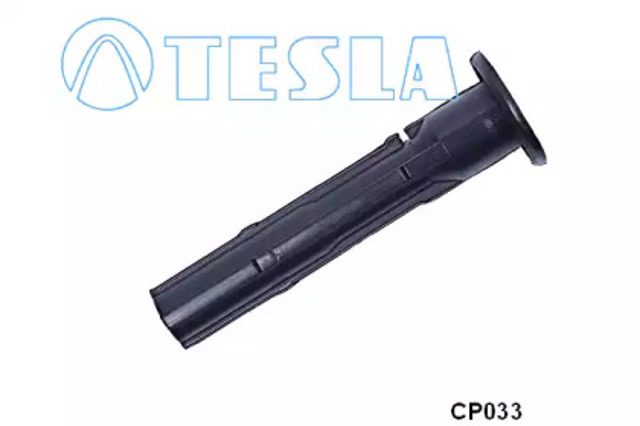 CP033 Tesla