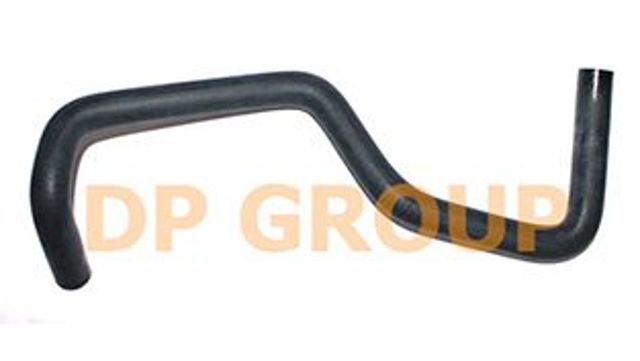 CS8183 DP Group