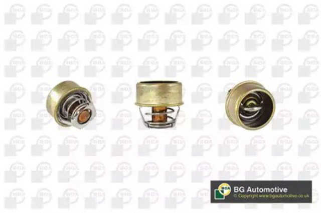 Termostat Renault 25