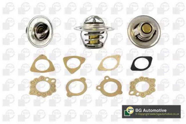 Termostat Citroen AX