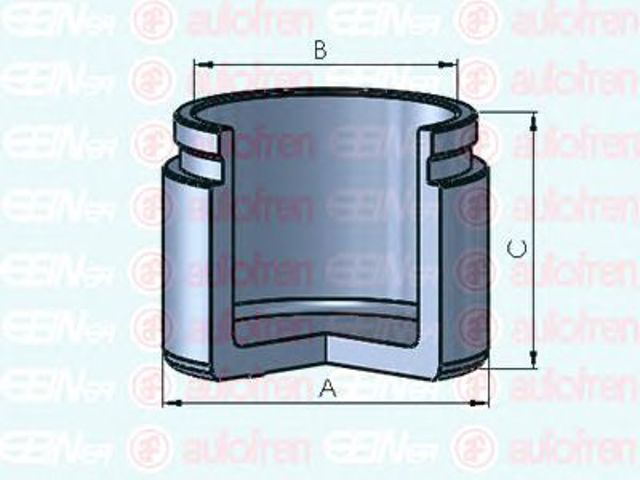 D025323 Autofren