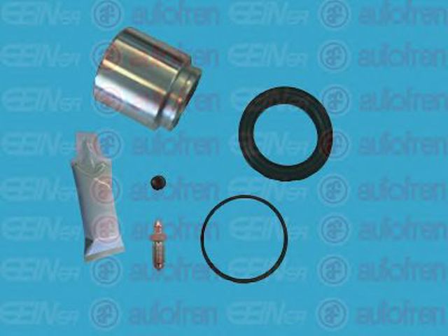 D41061C Autofren
