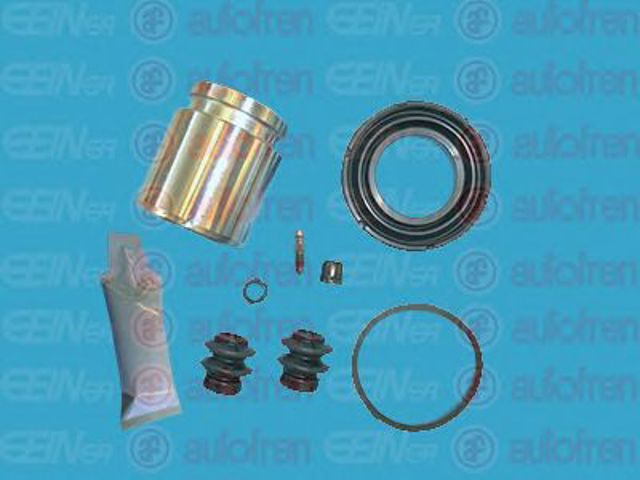 D41102C Autofren