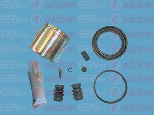 D41175C Autofren