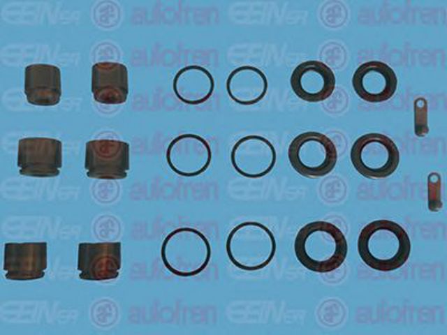 D41923C Autofren