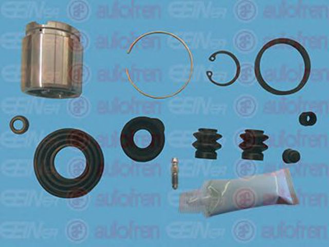 D42120C Autofren