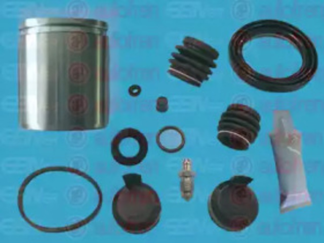 D42571C Autofren