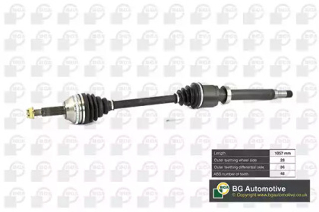 DS2351RA BGA