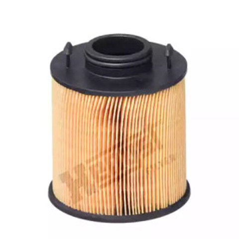 E101UD324 Hengst