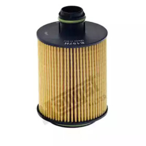 E157HD227 Hengst