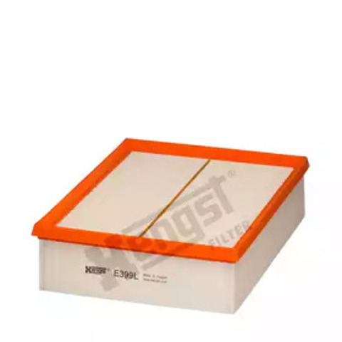 E399L Hengst