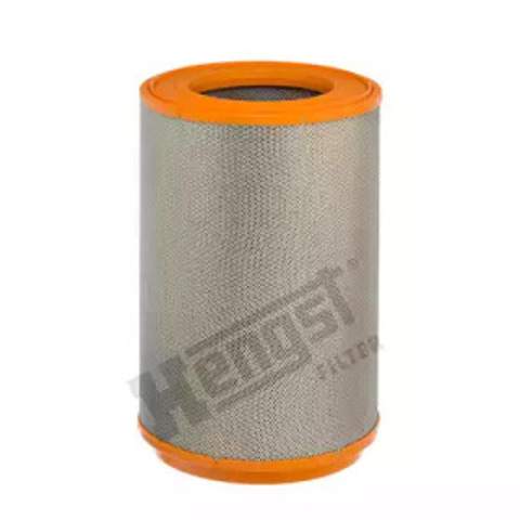 E424L Hengst