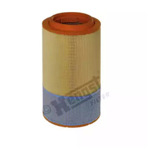 E428L01 Hengst