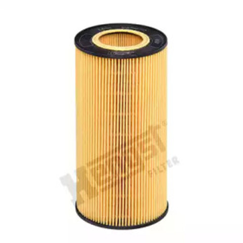 E89HD213 Hengst