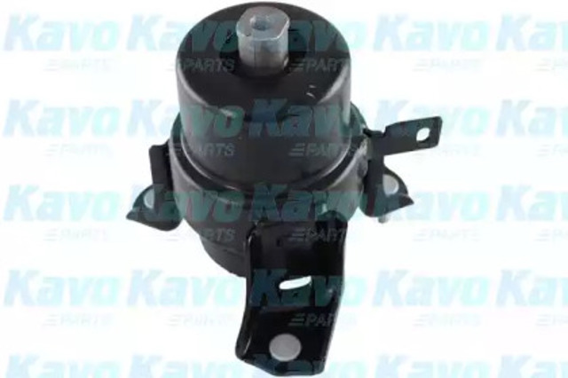 EEM9031 Kavo Parts