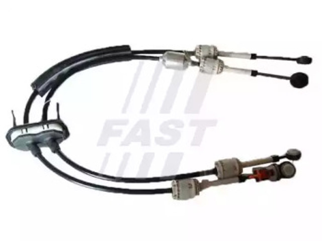 FT73033 Fast