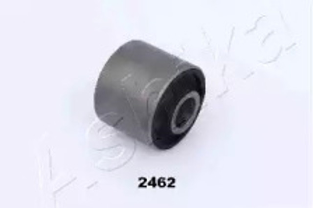 GOM2462 Ashika