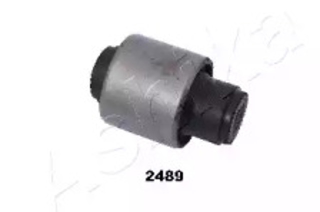 GOM2489 Ashika