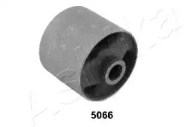 GOM5066 Ashika