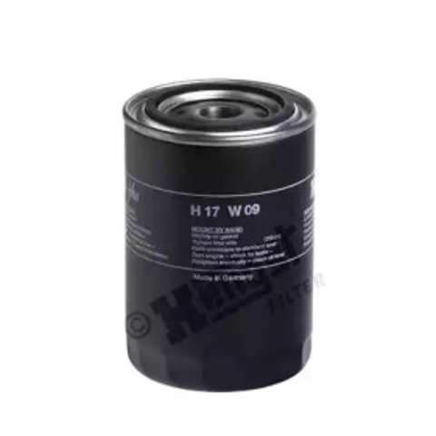 H17W09 Hengst