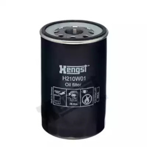 H210W01 Hengst