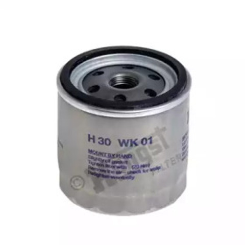 H30WK01 Hengst