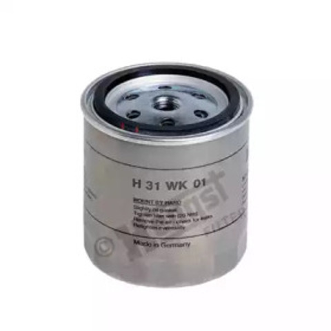 H31WK01 Hengst