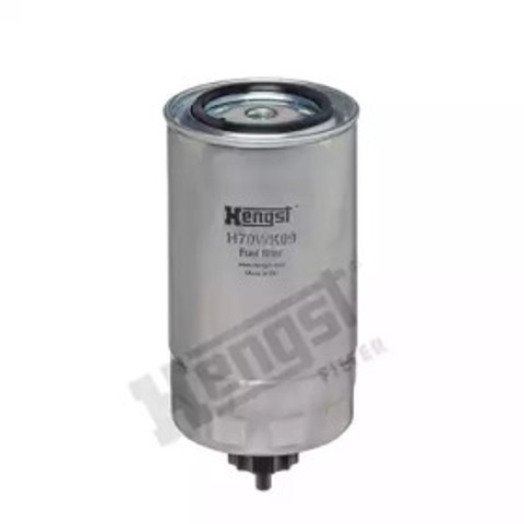 H70WK09 Hengst